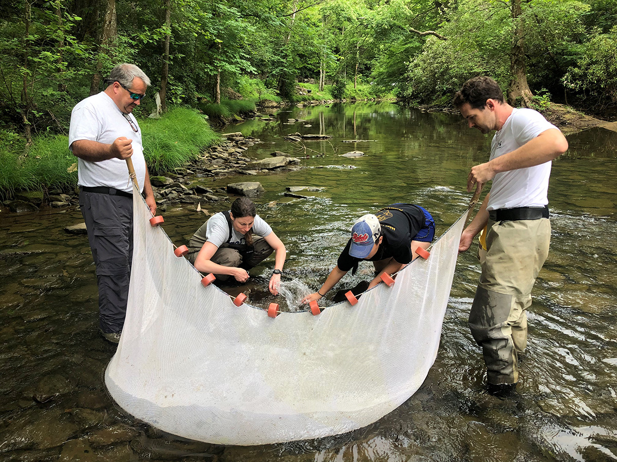 An image of DWR staff and partners using a net to sample a river for big sandy crayfish in hopes of finding females for the propagation project.
