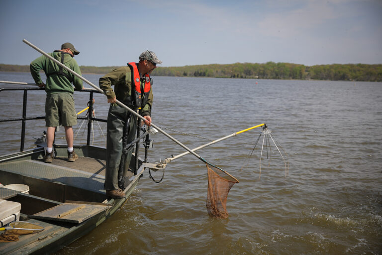 Not Too Shocking Your Electrofishing Questions Answered Virginia DWR