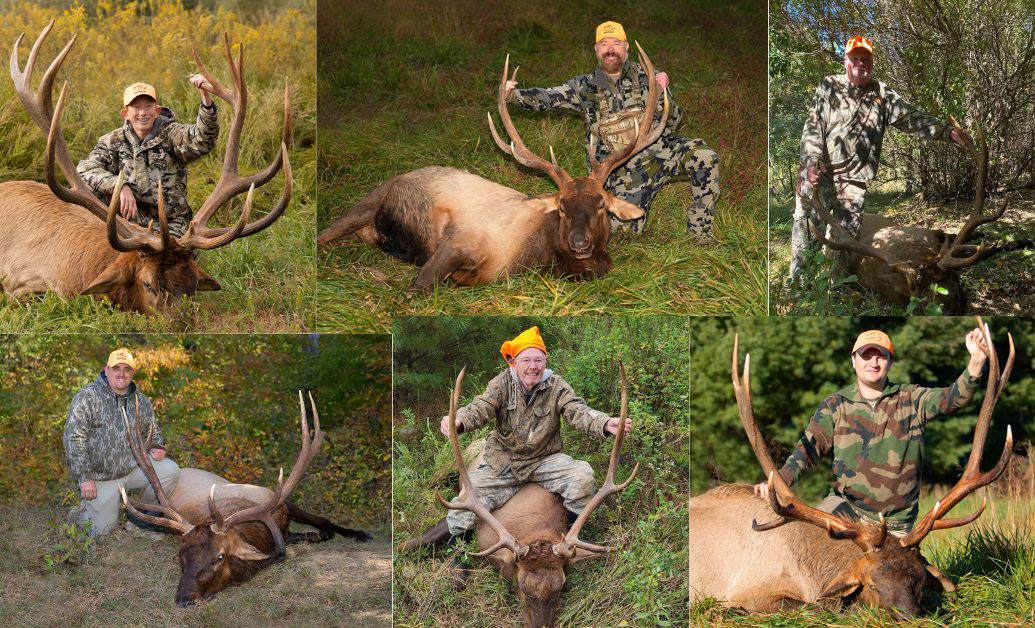 Six Hunters Successful in the Inaugural Elk Hunt in the Elk Management
