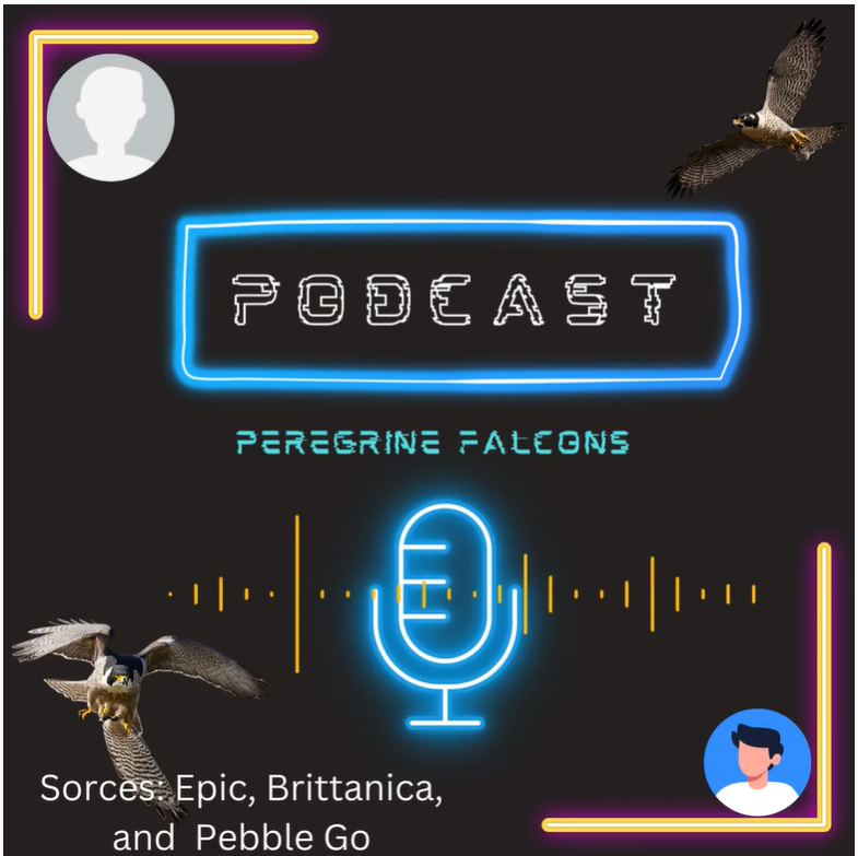 An image of the podcast logo from the Elementary school peregrine falcon program