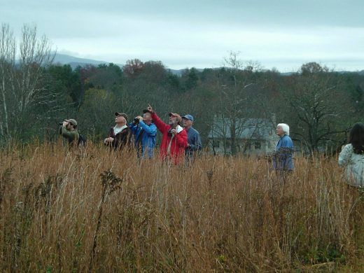 An image of a group of birders in a meadow