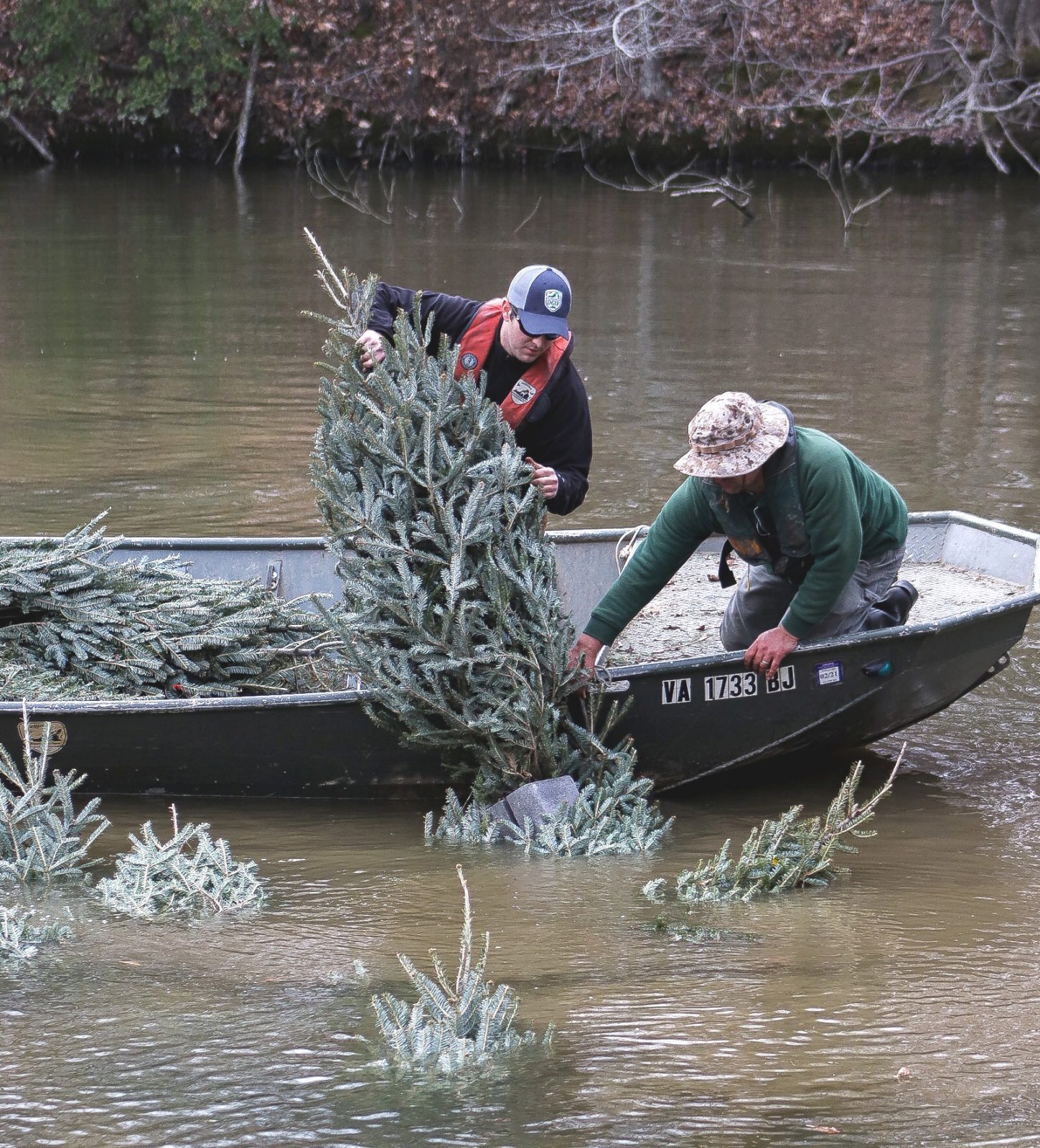 An image of two DWR biologists adding old Christmas trees with cinderblocks on their bottom into a pond to provide natural habitat
