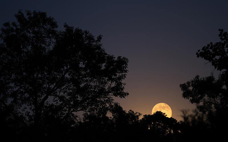 Photo Tips: Photographing the Night Sky