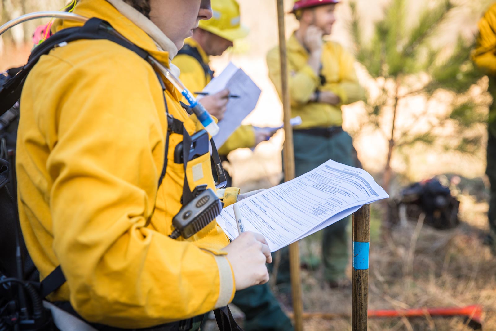 A DWR fire crew member reviews the day's prescribed burn plan.