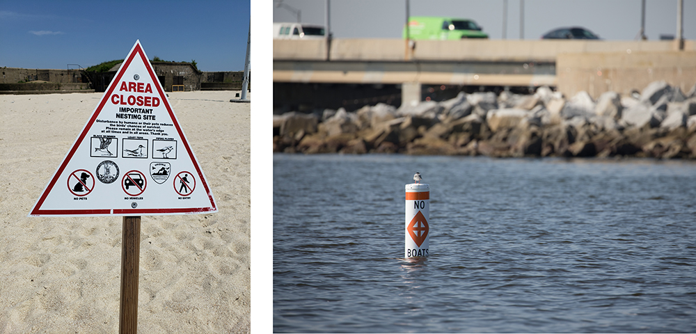Left: An example of the no trespassing signs that are installed around Ft. Wool. Photo by Becky Gwynn/DWR. Right: A tern perches on one of the buoys which demarcates the “no boat zone”.