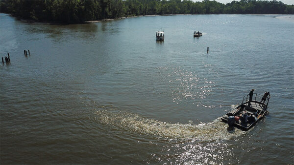 Catfish Sampling on the James River