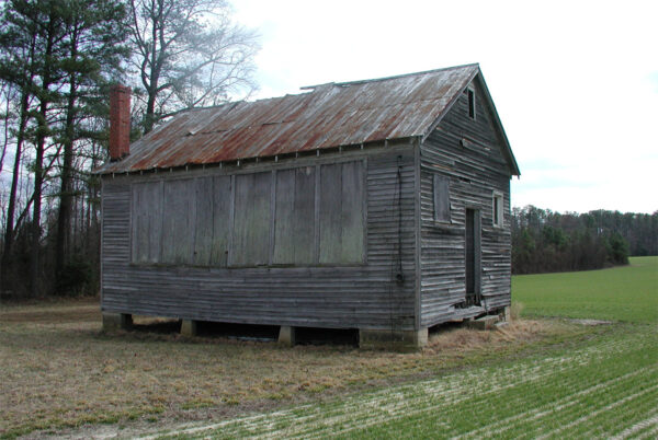 One of the largest known roost sites anywhere in the Rafinesque’s big-eared bat’s range, this early 1900s African American schoolhouse hosts up to 70 females that give birth and raise their young in the building. The building was in need of significant repairs to keep it from collapsing. A Bat Conservation Internation (BCI) grant enabled DWR to put a new roof on it and shore up one of the walls to preserve this important breeding habitat. Photo by ©J.D. Kleopfer - DWR