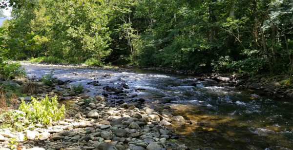 An image of a typical trout stream