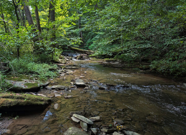 An image of a cold water stream with copious riffles an ideal habitat for this shiner