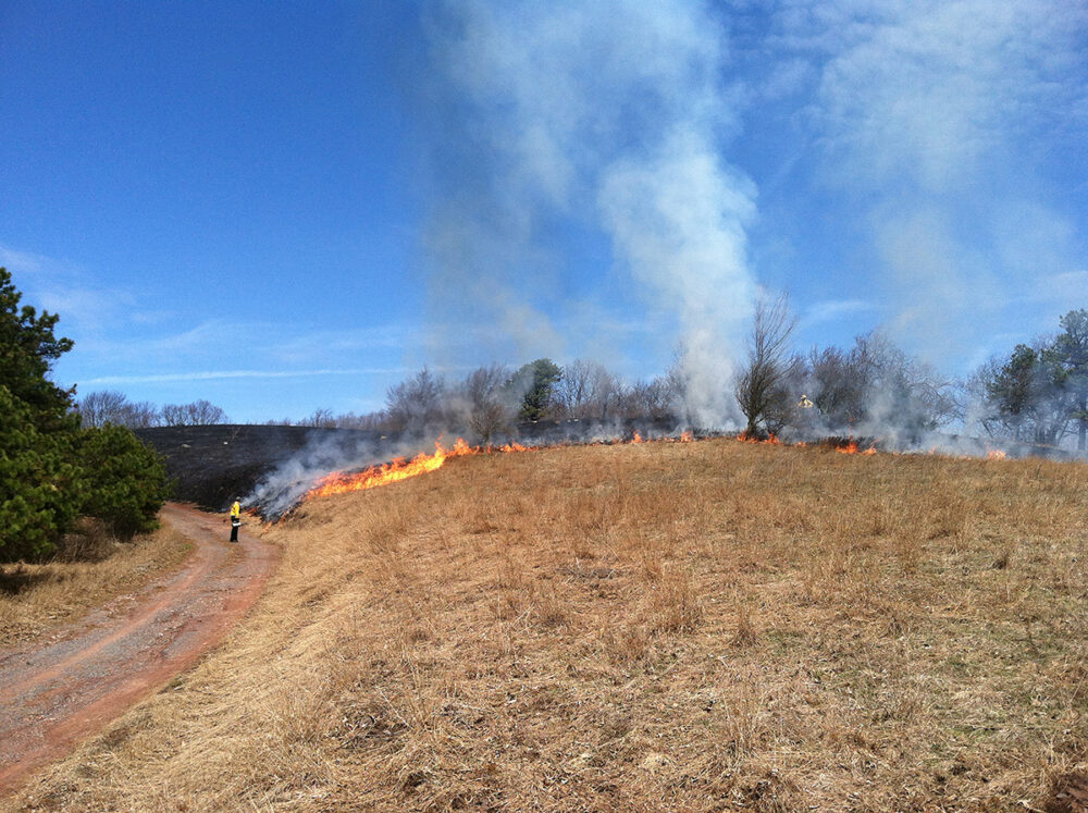 A meadow undergoing a prescribed fire at a wildlife management area