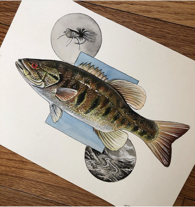 Image of artwork depicting a largemouth bass and fly fishing lure