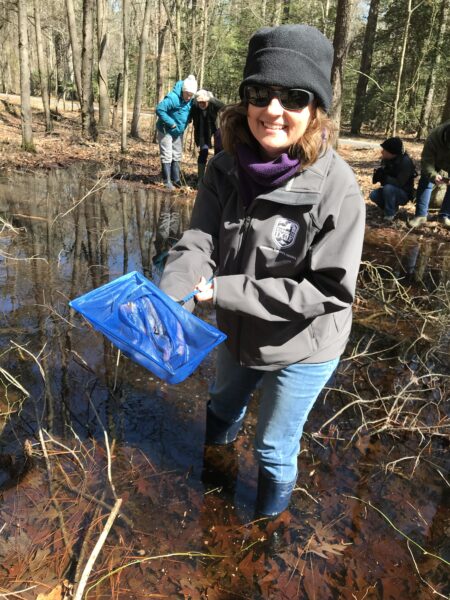 A woman standing in a vernal pool using a fish net to search for salamander eggs