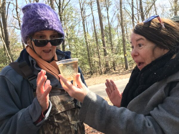 two women looking at a cup of spotted salamander eggs