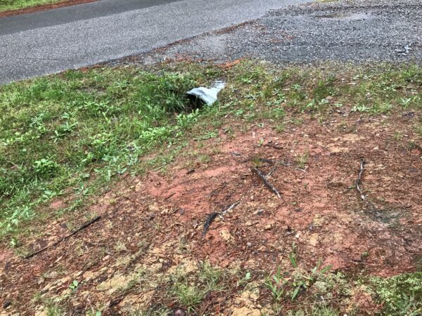 An image of an section devoid of groundcover due to mowing and compaction allowing the soil to fill the culvert drainage pipe