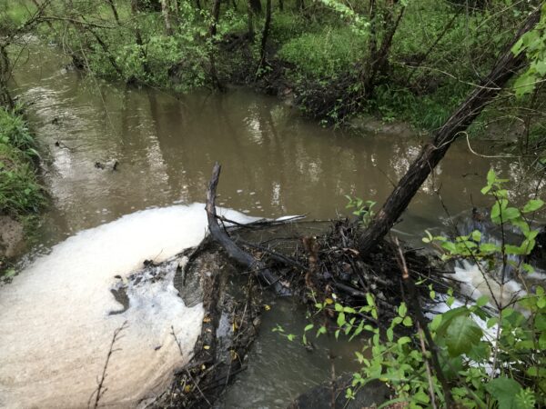 A creek with a heavy sediment load which clouds the water and blocks sunlight killing local vegetation and limiting wildlife populations.