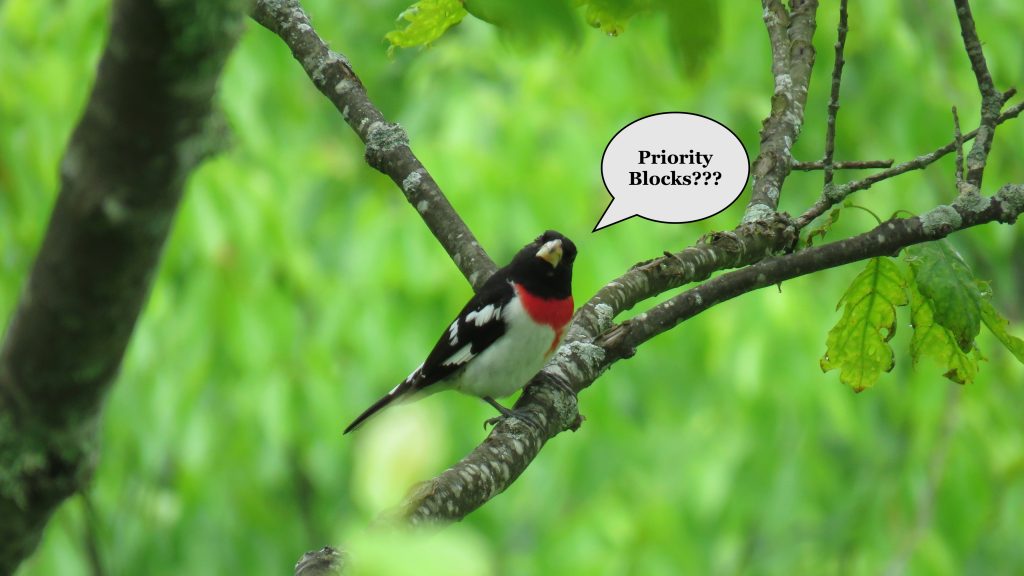 An image of a rose-breasted grosbeak with a speech bubble that says "priority blocks?"