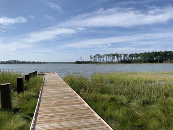 One of multiple water access points on site, this pier connects to the Interpretive Trail and provides scenic views of Timberneck Creek.