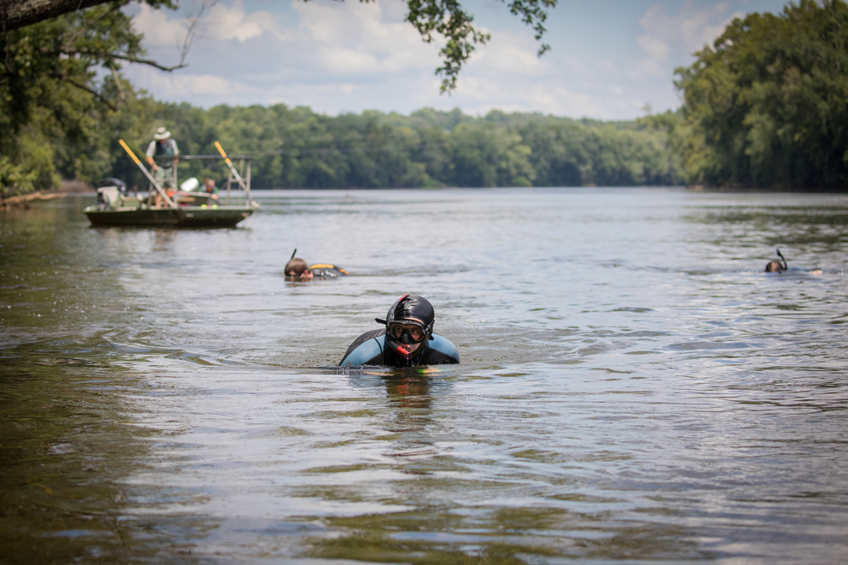 An image of DWR employees snorkeling for mussels in the river