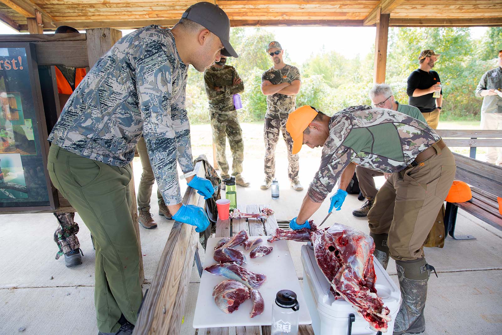 A photo of a man butchering a deer on a table with others watching closely.