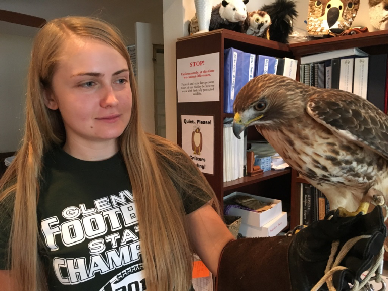 Jessy Wilson holding Red-tailed Hawk