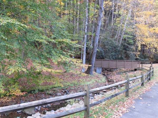 View of the creek that runs along the Lower Twin Campground