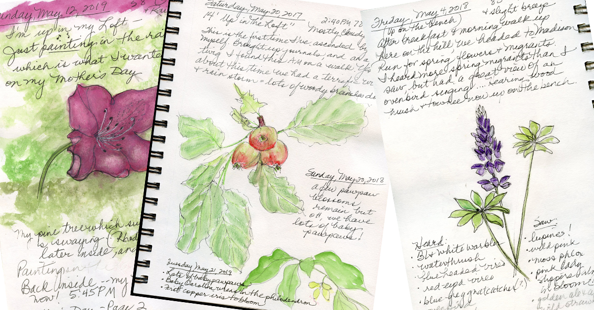 How To Start A Nature Journal - A Beginners Guide