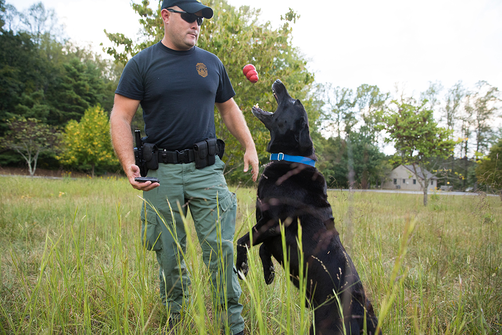 K9 Justice and Wayne Billhimer playing with a red toy during a training session.