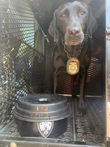 K9 Bailey the black lab in her kennel with her special no-spill water bowl