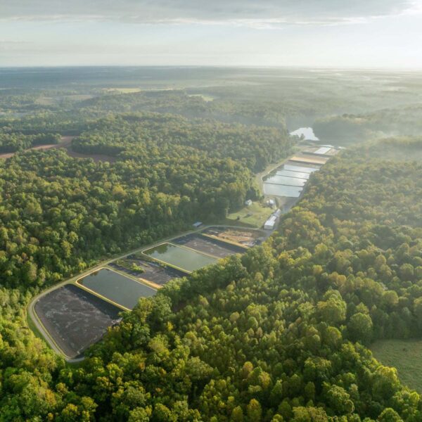 An aerial view of the King and Queen Hatchery