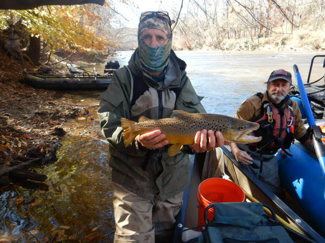 The trout being held by a male DWR biologist before being put in a bucket for re-release into the wild