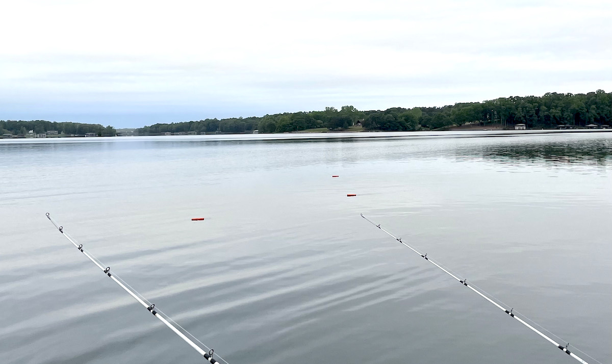 Planer Board Trolling for Striped Bass on Lake Anna Can be Like Cardio