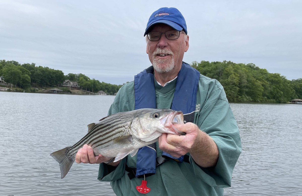 A picture of a man named Bill Thompson holding a Lake Anna Striper