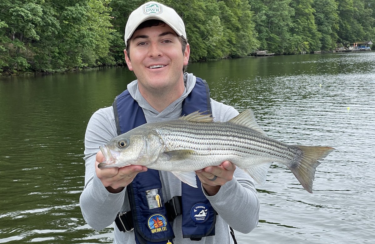 Planer Board Trolling For Striped Bass On Lake Anna Can Be Like Cardio Virginia Dwr