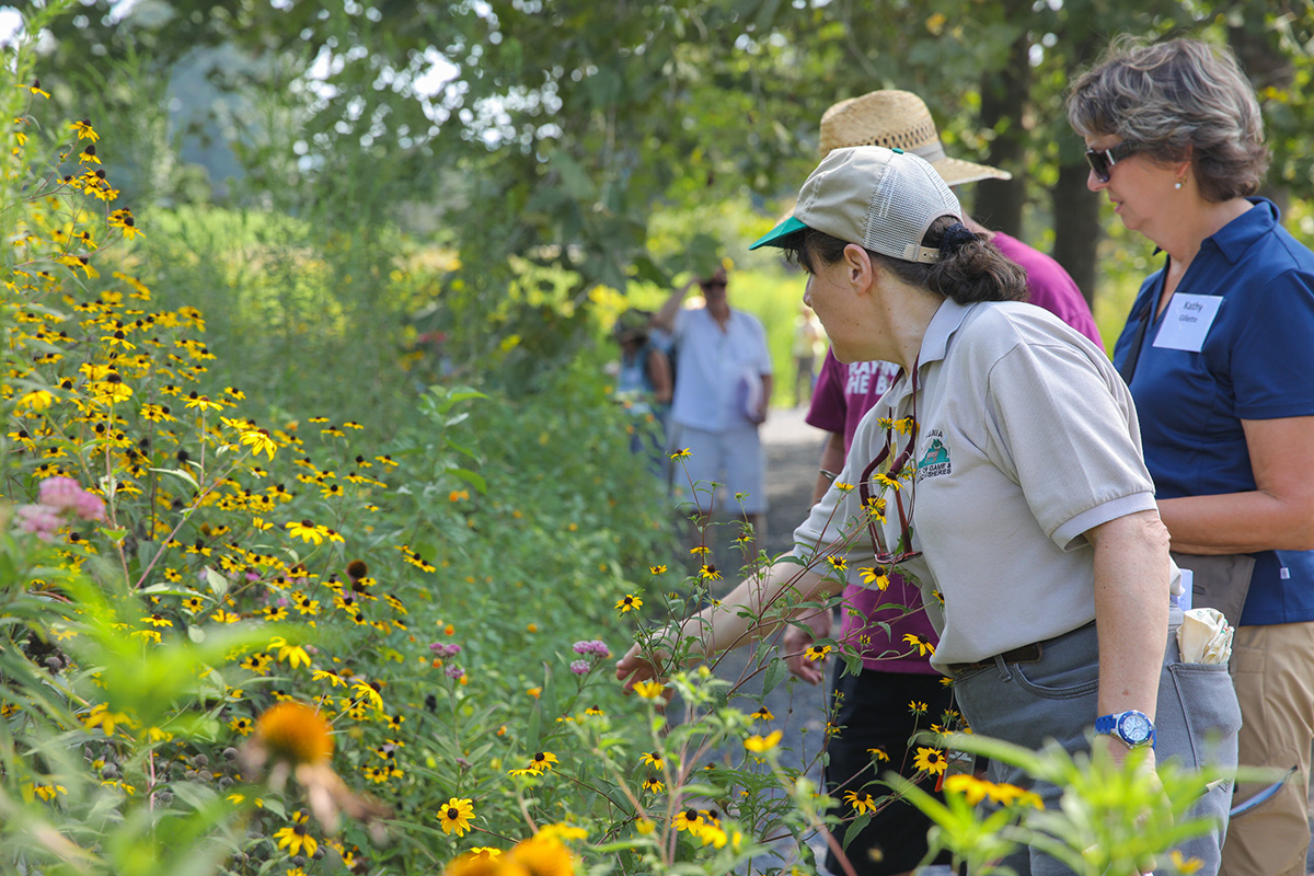 An image of a tour being given on a pollinator trail to educate the public on the importance of providing habitat for pollinators