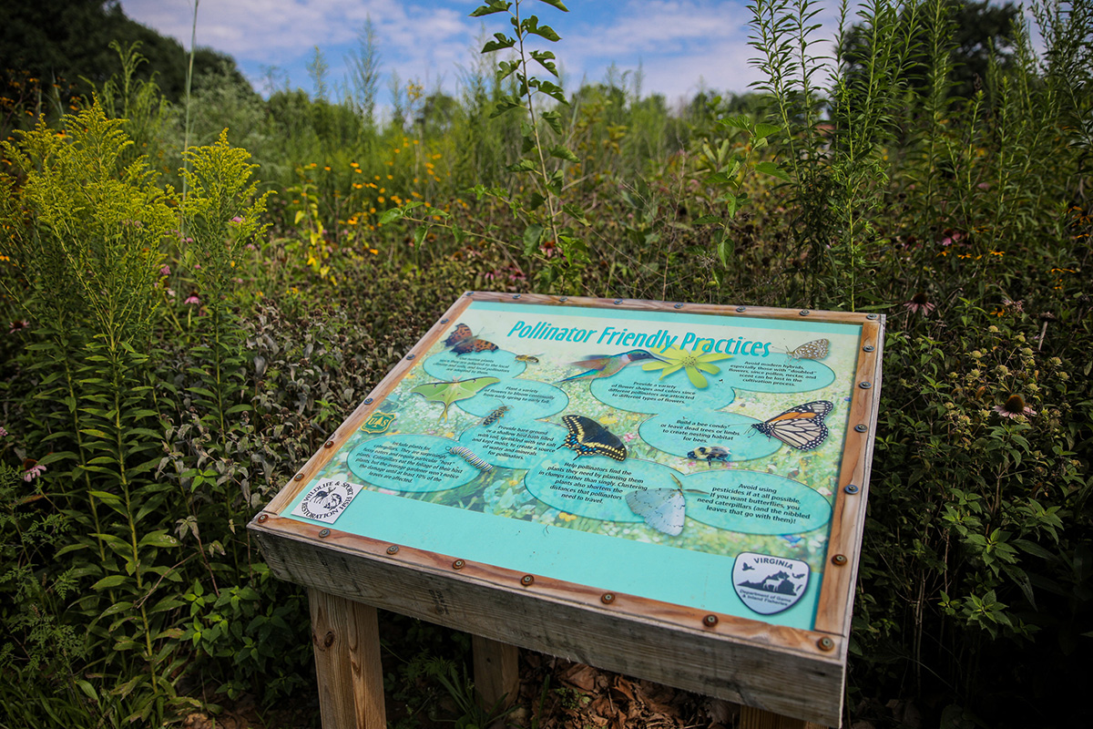An image of a pollinator education box at a pollinator trail educating the public on the value of providing habitat to essential species