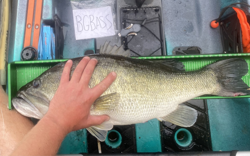 Top Virginia Waters for Trophy Largemouth Bass in 2022