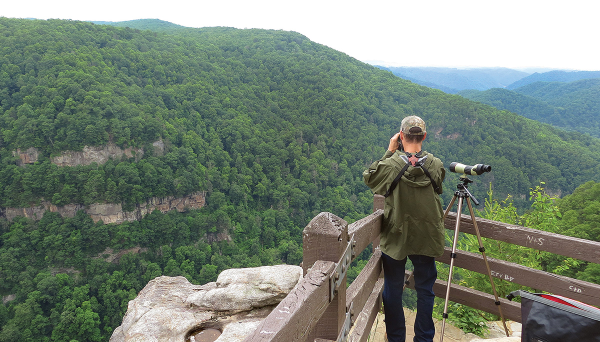 A DWR employee conducting a peregrine falcon survey at an natural outlook