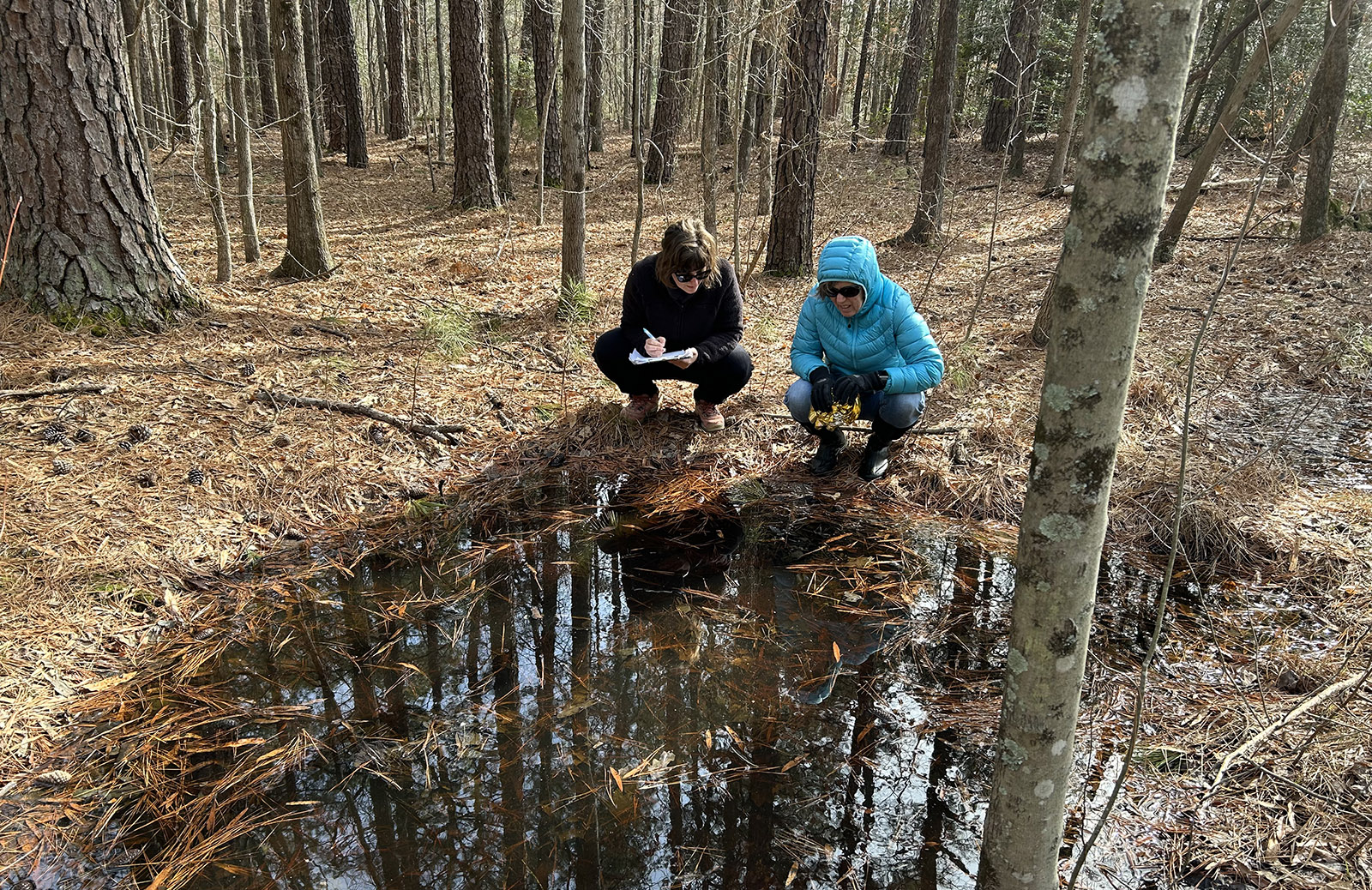 A photo of two women squatting by and looking into a small pond in the woods, writing in a notebook.