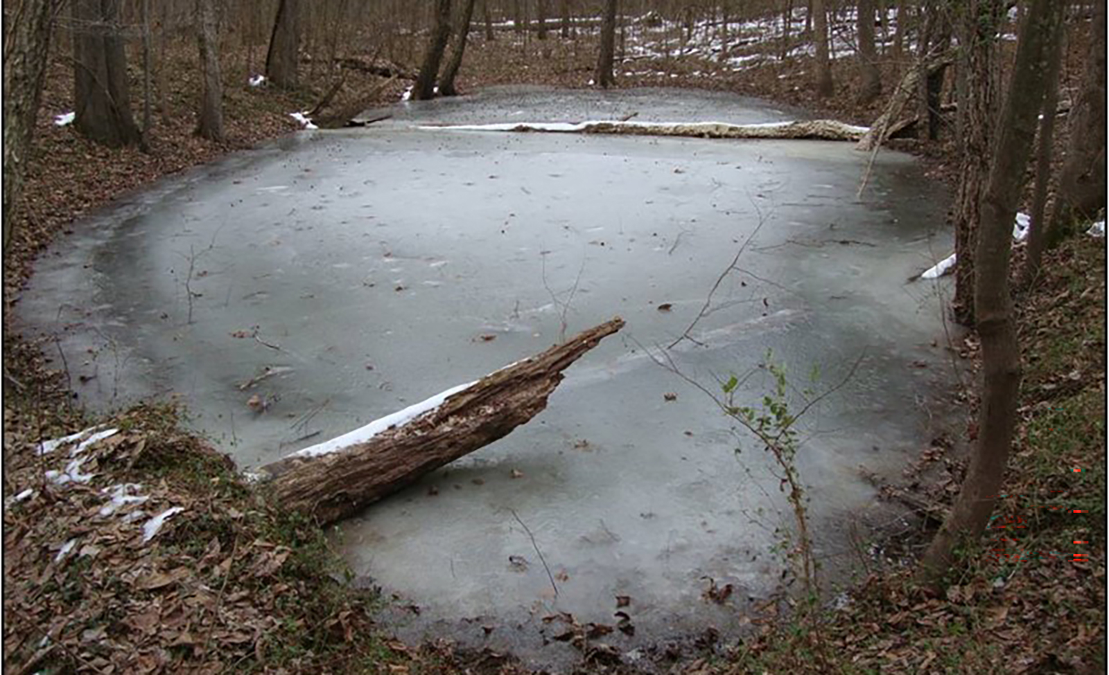 A photo of the same small pond filled with water and iced over.