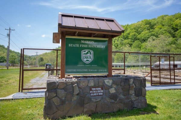 The Marion Fish Hatchery welcome sign