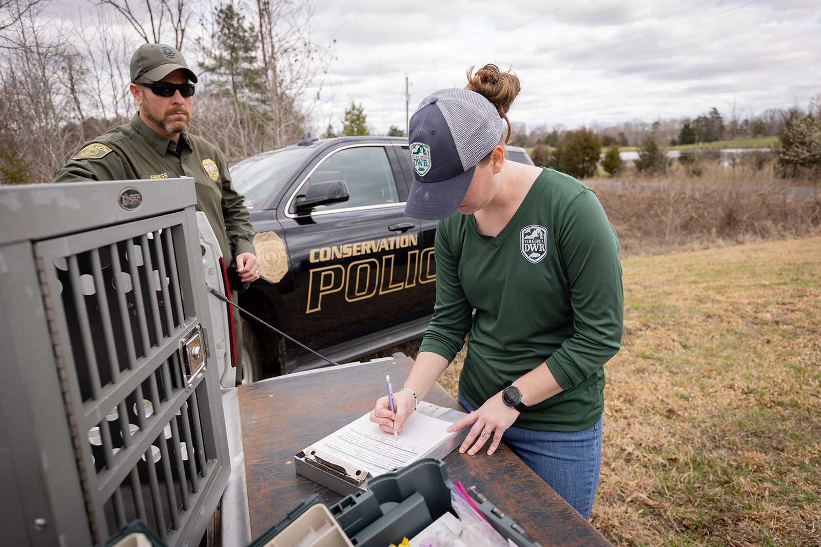 A photo of a DWR wildlife professional writing on a clipboard on a truck tailgate, with a Conservation Police Officer in uniform looking on. 