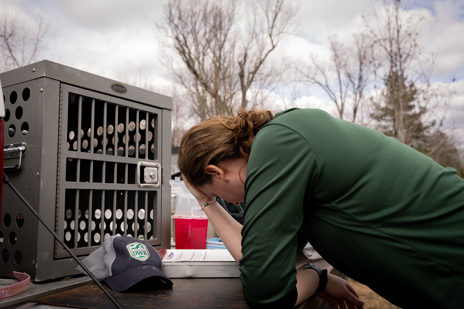 A photo of a female wildlife professional leaning her head in her hands on a truck tailgate.