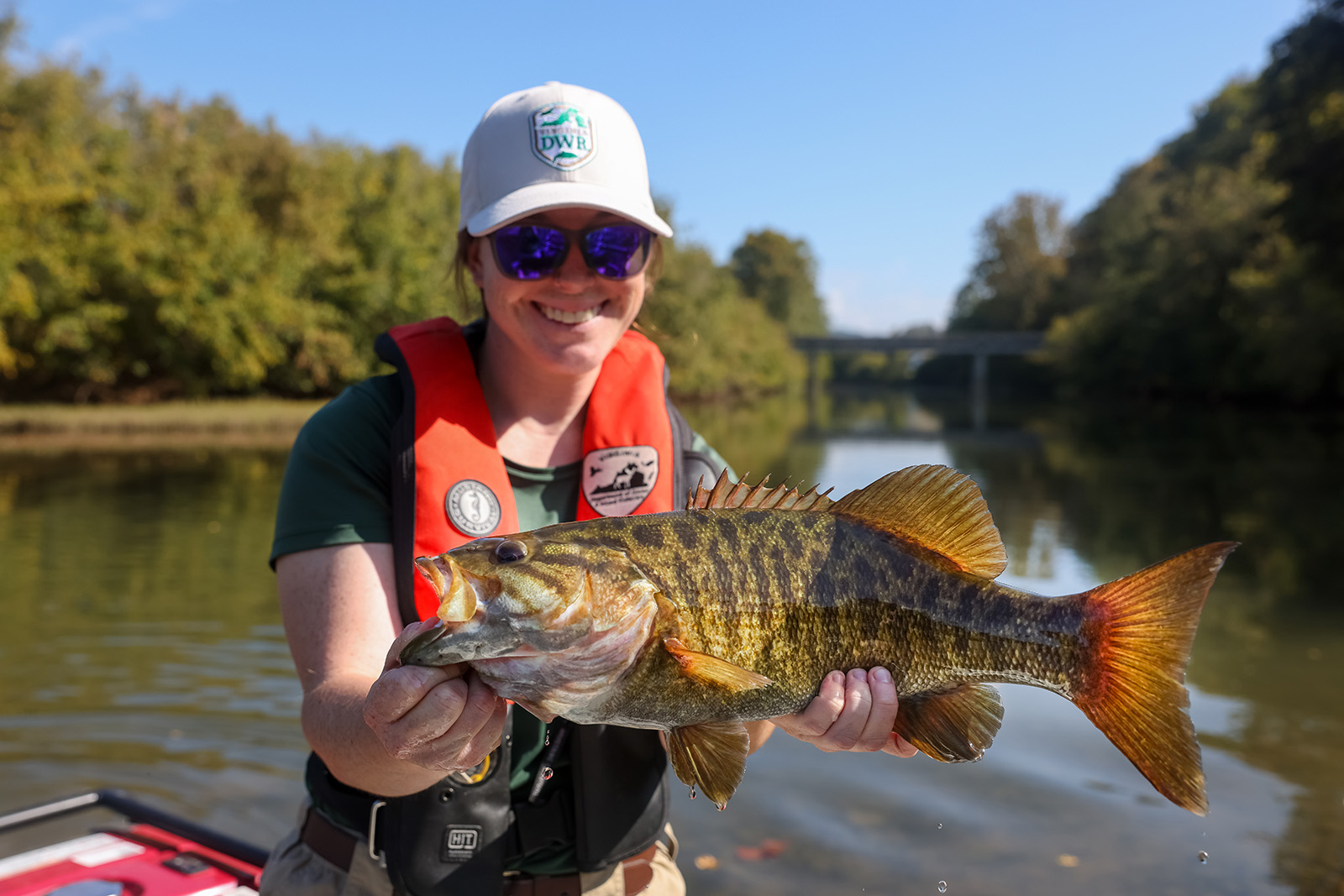 A photo of a woman in DWR uniform and life jacket on the bow of a boat holding up a large smallmouth bass with the river in the background.