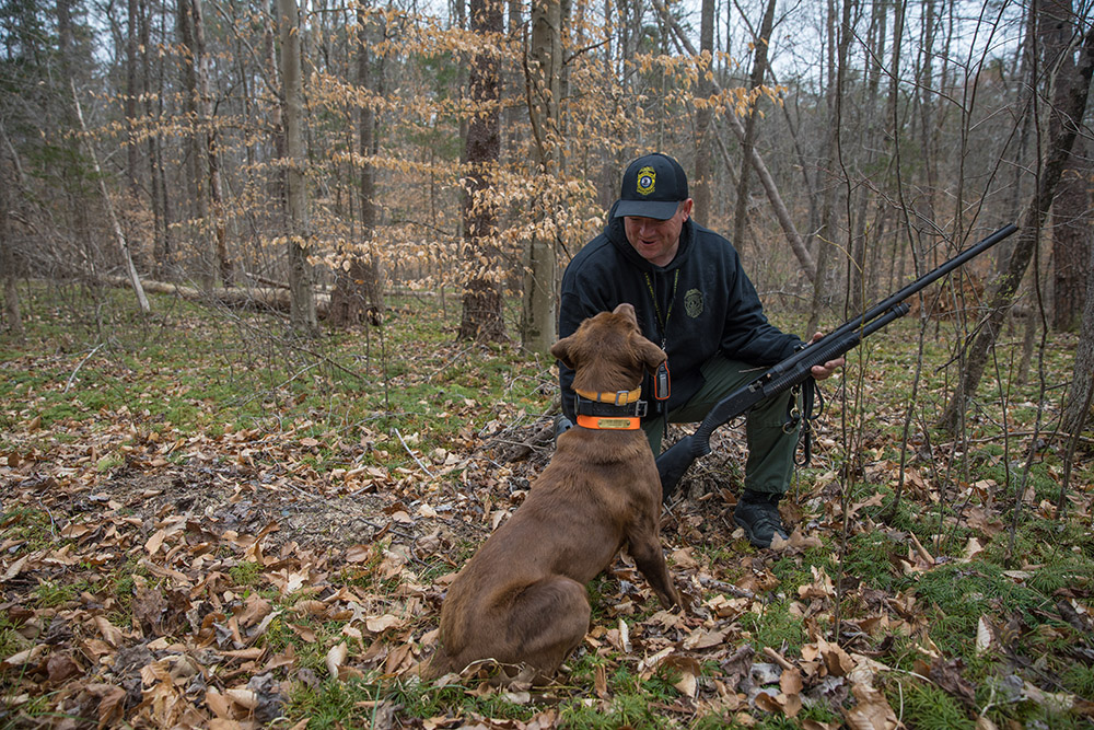 CPO Ian Ostlund praises K9 Reese after she alerts on a gun that was hidden under leaves and brush.