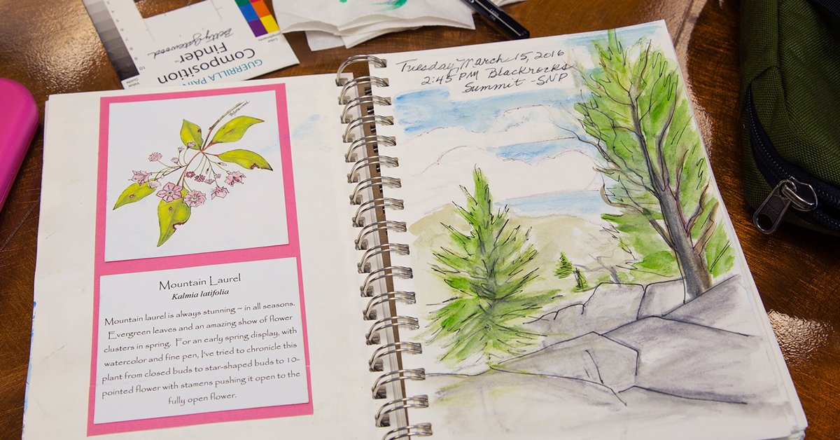 Journaling in the natural world