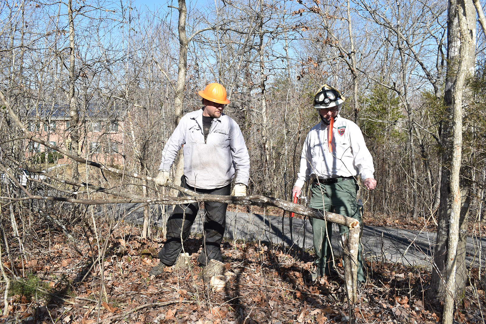 A photo of two men wearing hard hats amid trees, looking at a tree that has been partially cut and is fallen over.