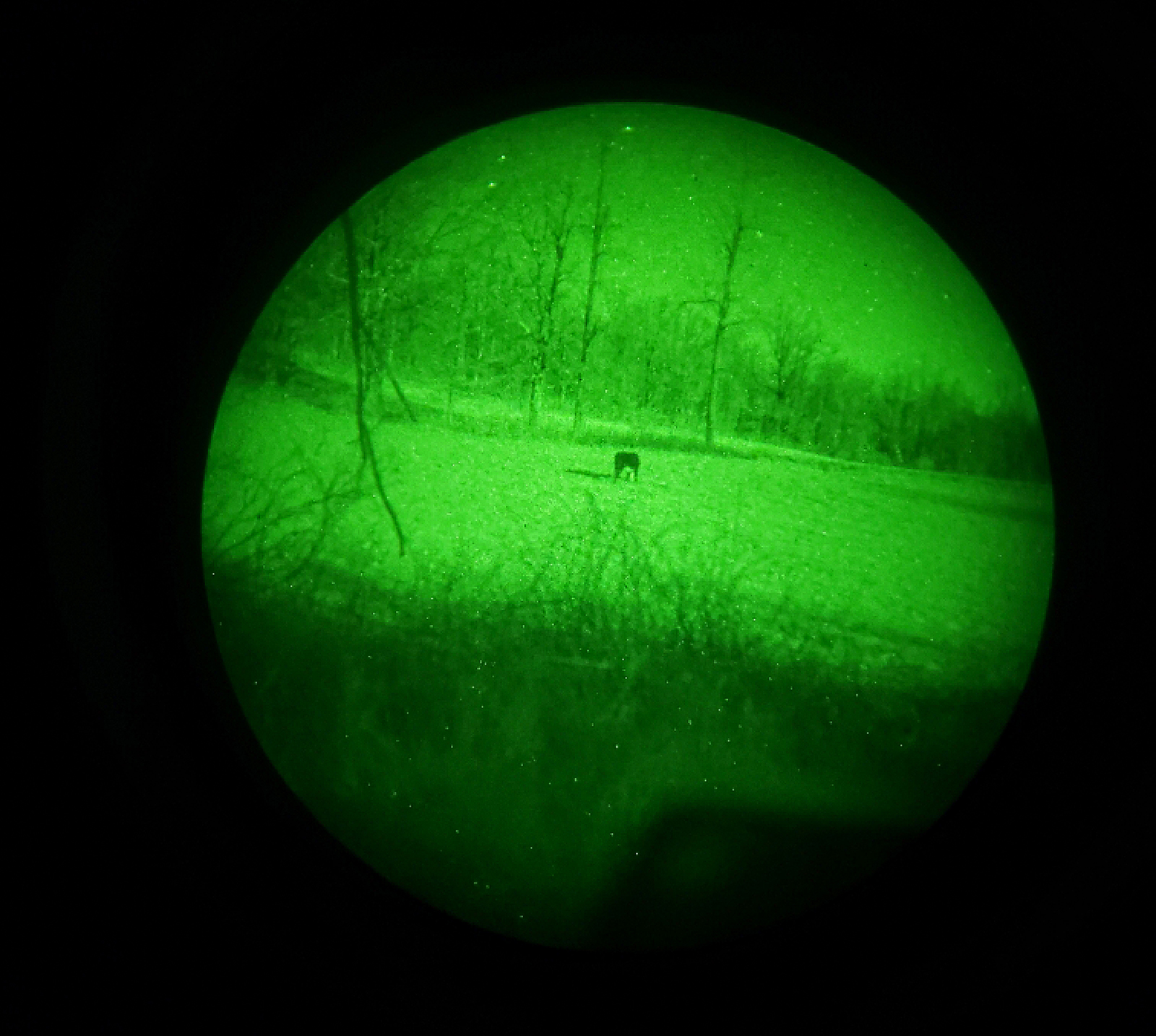 An image of a deer in a field seen through the green glow of a high-tech infrared camera.