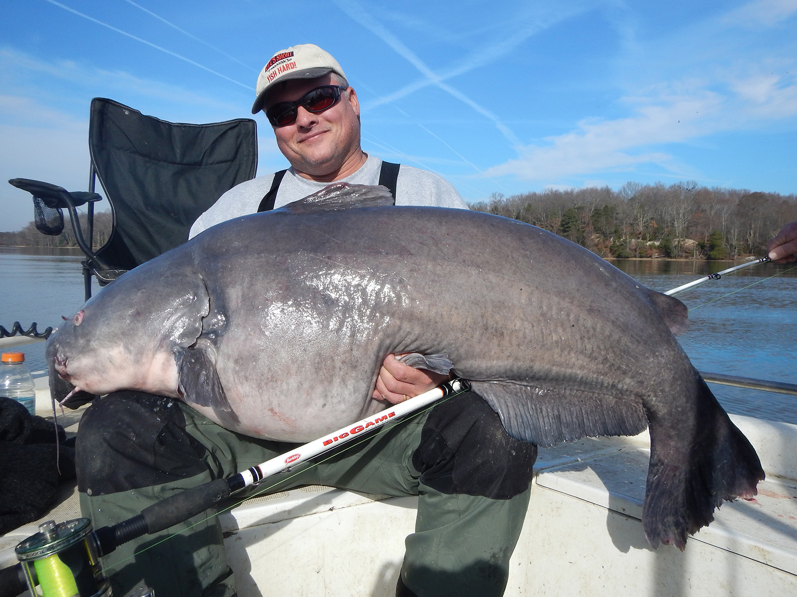 A photo of a man in a boat holding an enormous blue catfish on his lap.