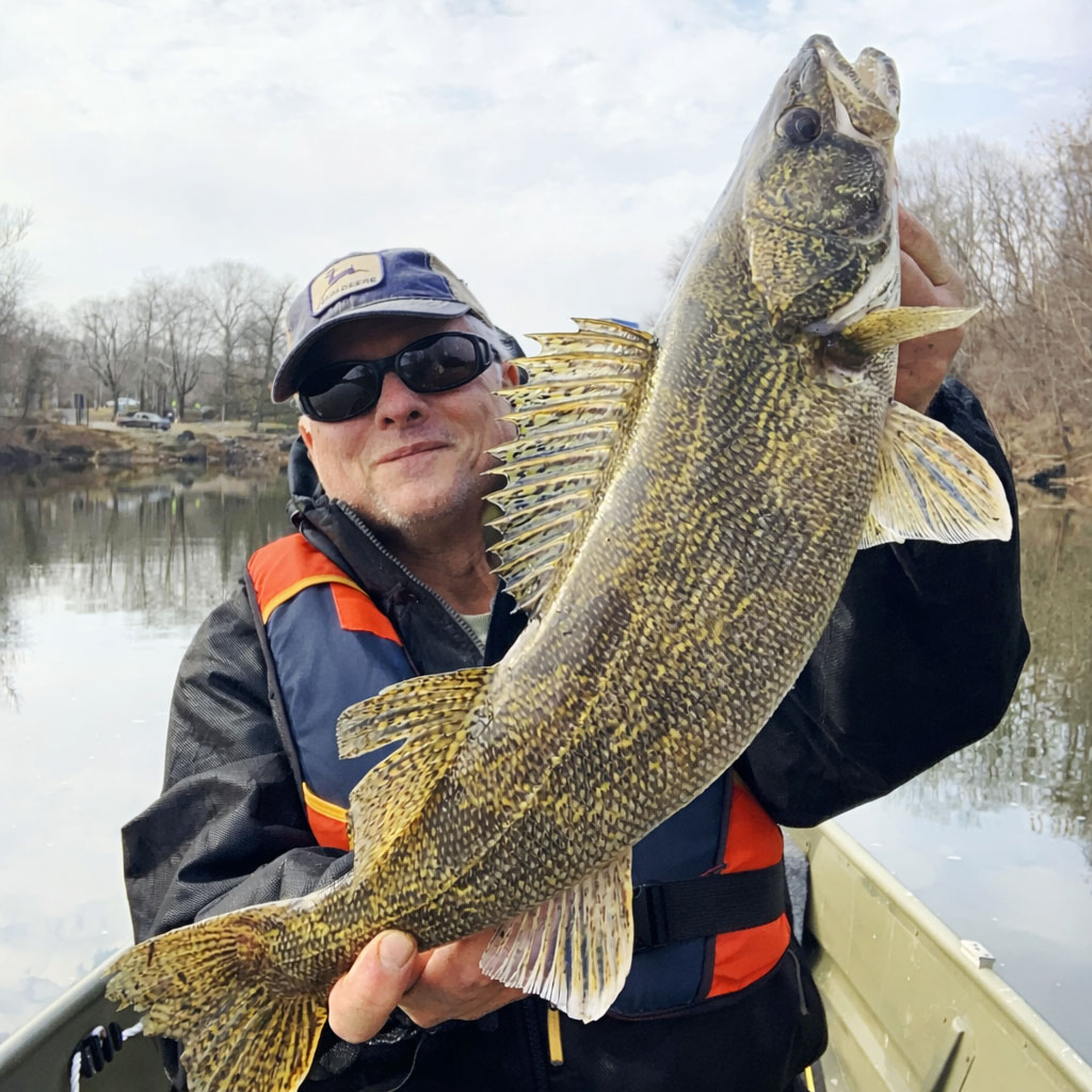 A man in a boat holding up a large saugeye.