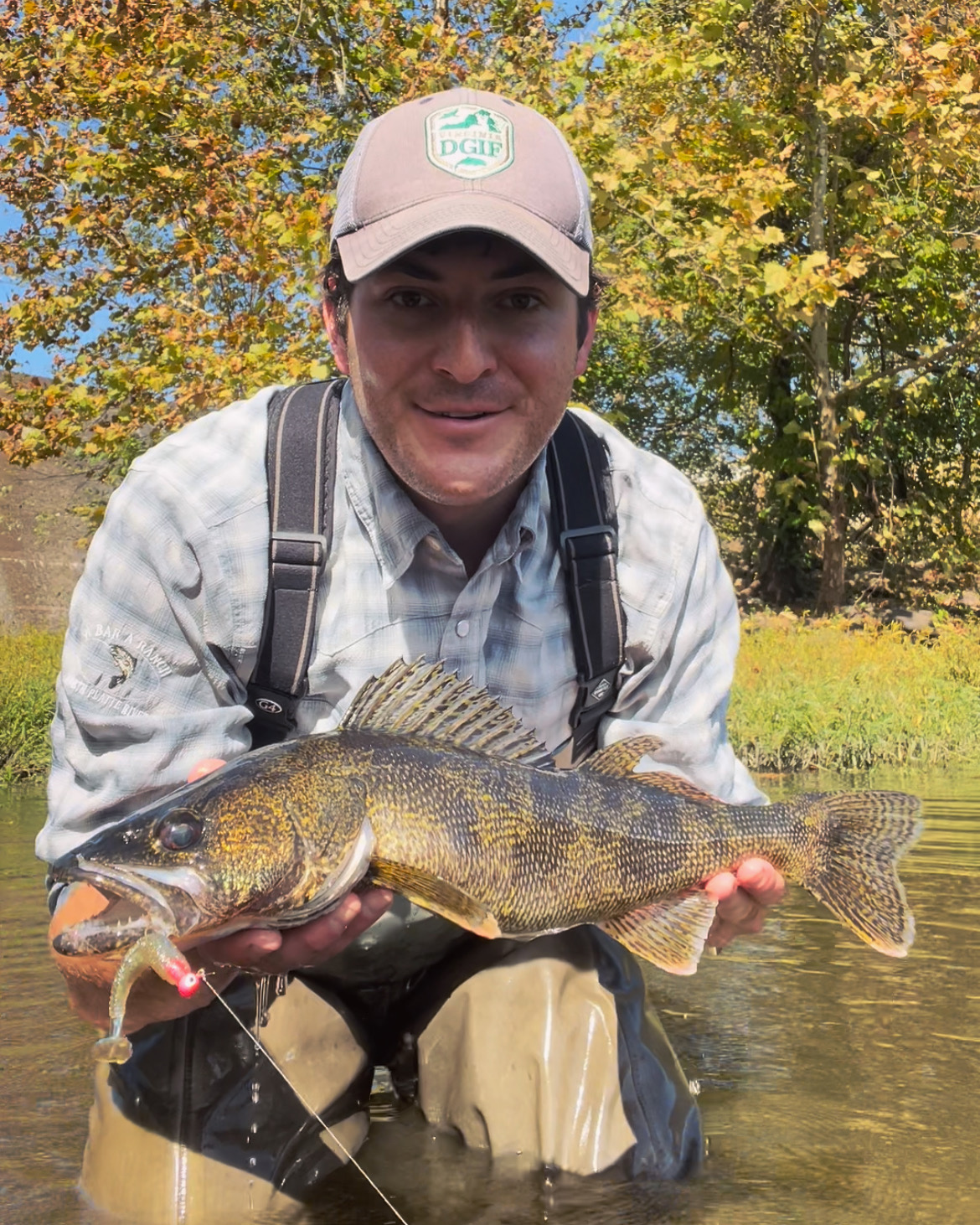 A man, dressed in a baseball cap and waders, kneels in the water while holding a fish.